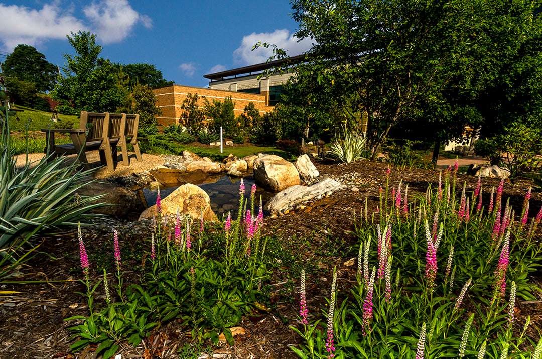 Completed pond and landscaping by Southern Landscape Group in Lynchburg, Va. Photo: Matrix Productions