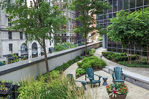 Photo: John Mini Distinctive Landscapes