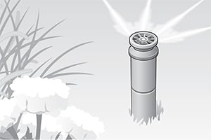 illustration: David Preiss