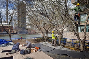 Photo: Town & Gardens