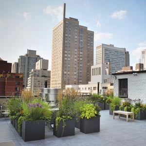 Photo: Brendan Sheehan, Town and Gardens, Ltd. staff