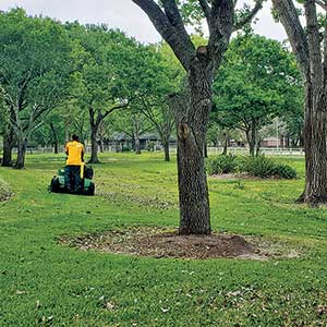 The Grounds Guys of League City