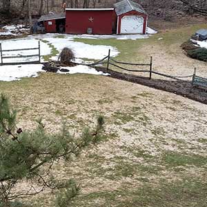 Photo: Grasshopper Lawns