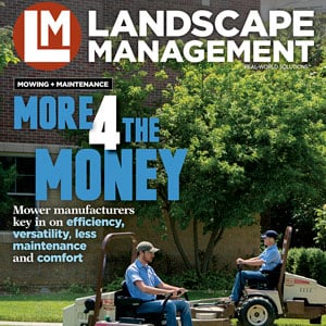 (Photo: Grasshopper)