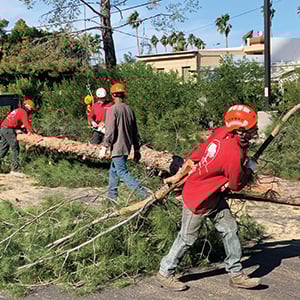 (Photo: Dominique Hypolite)