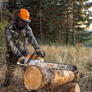 Photo: Stihl