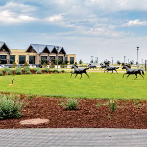 Photo courtesy of TerraCare