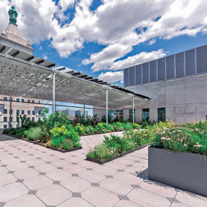 Photo: John Mini Distinctive Landscapes